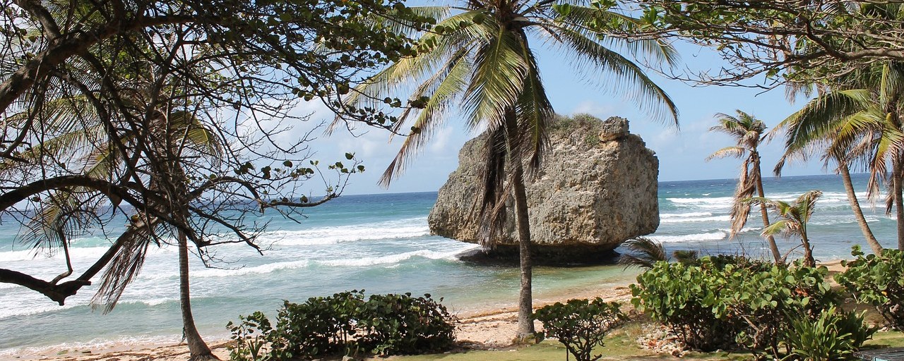 Coastal rocks and palm trees at Bathsheba, Barbados