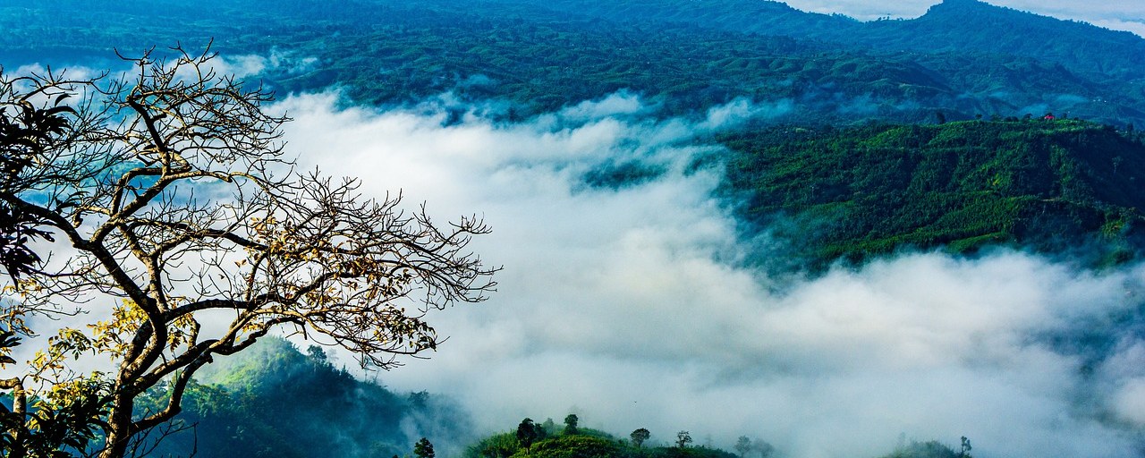 Clouds drifting through the forested hills of Sajek Valley, Bangladesh
