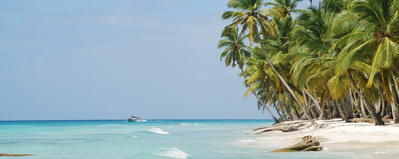 Palm trees and turquoise water on Saona Island, Dominican Republic