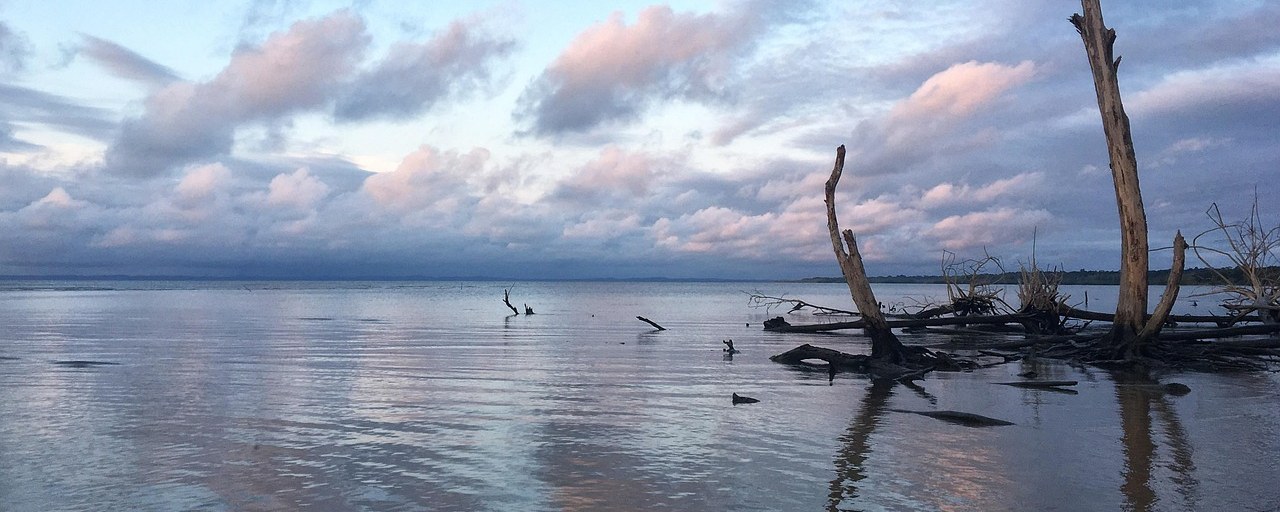 Coastal waters and driftwood at sunset in Gabon