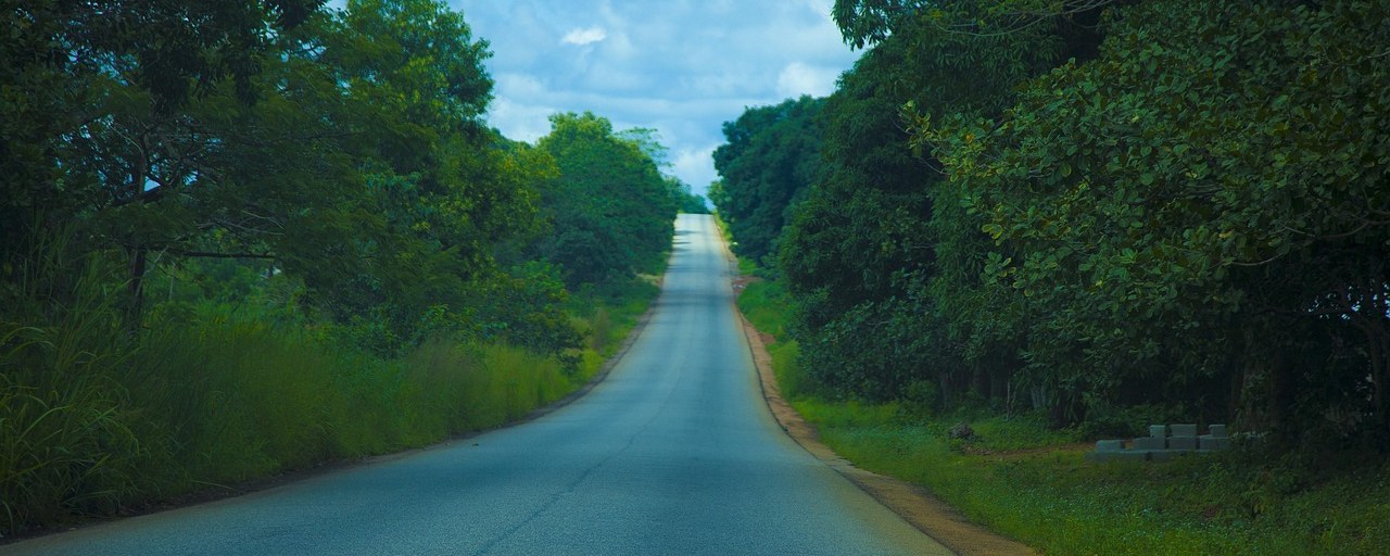 Forest-lined road in the Conakry region, Guinea