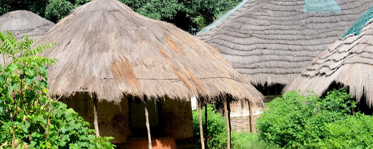 Traditional thatched village houses in Guinea-Bissau