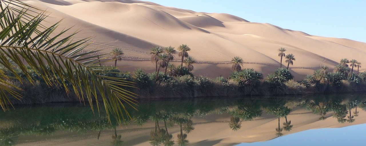 Desert oasis with palms and sand dunes in Libya