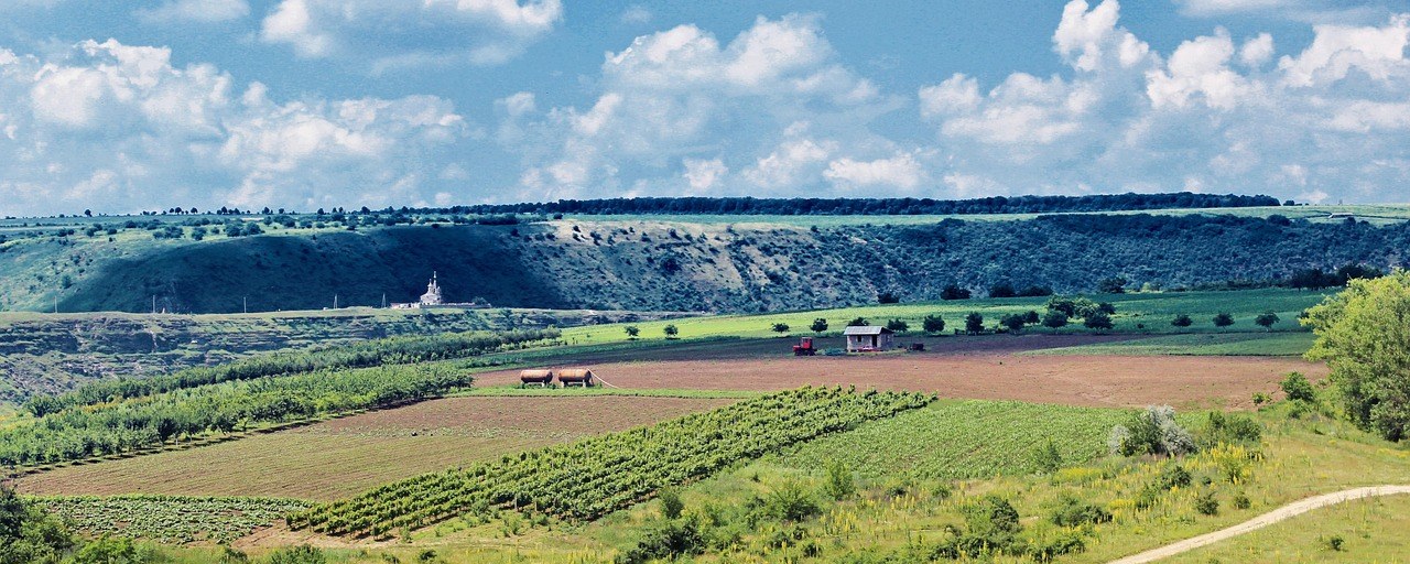 Fields and limestone cliffs at Orhei, Moldova