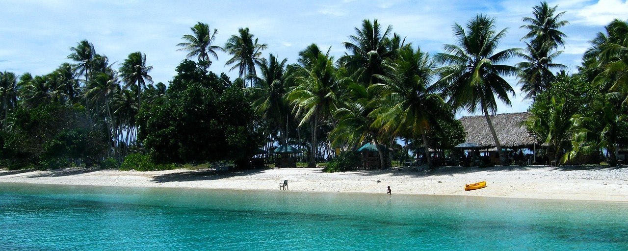 Palm-lined beach and turquoise coastal waters in the Marshall Islands