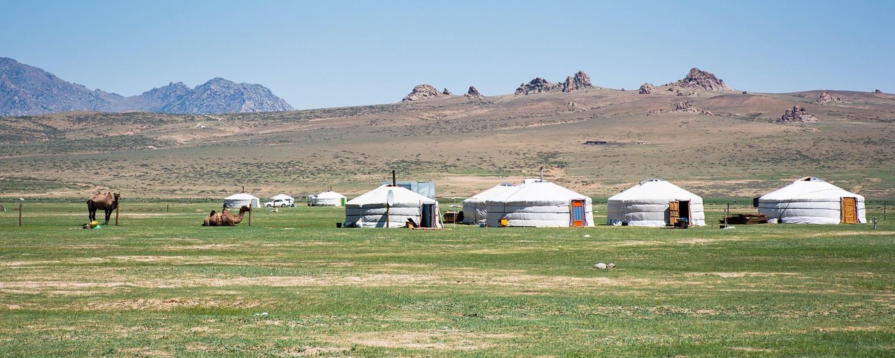 Traditional yurts and camels on the steppe in Mongolia