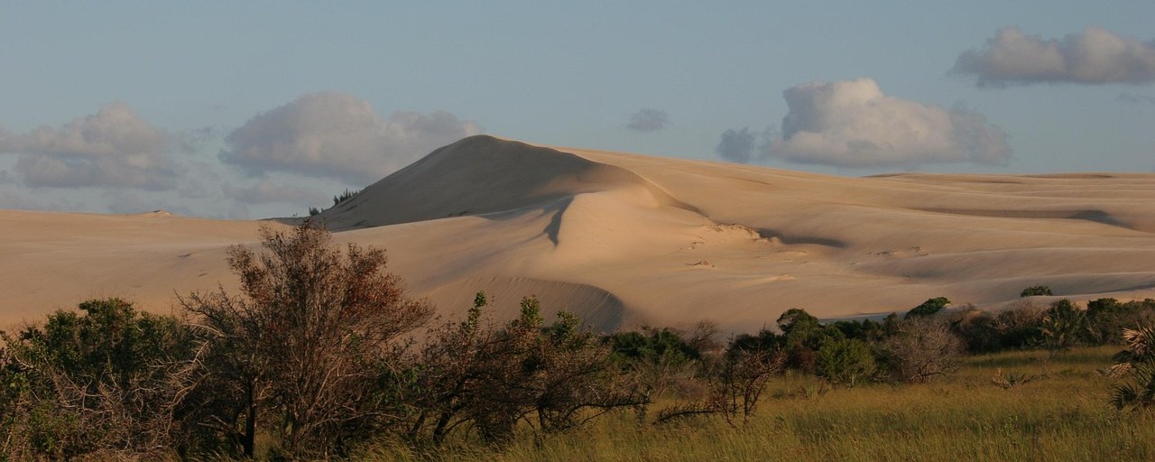 Sand dunes and coastal vegetation on Bazaruto Island, Mozambique