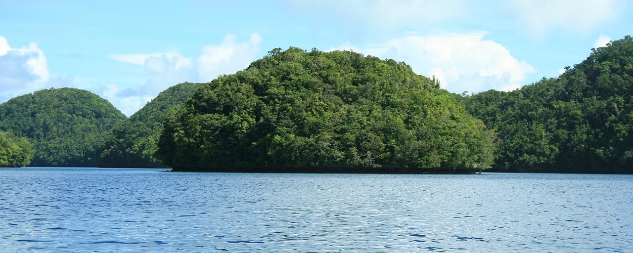 Forested Rock Islands surrounded by calm water in Palau