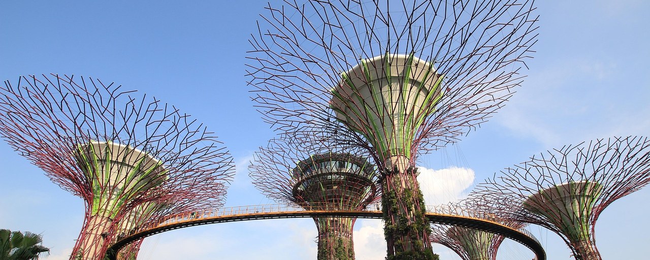 Supertrees and elevated walkway at Gardens by the Bay, Singapore
