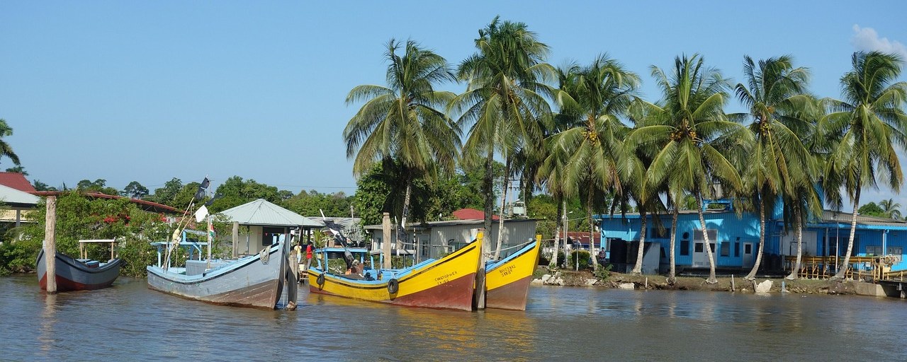 Fishing boats beside a palm-lined riverbank in Suriname.