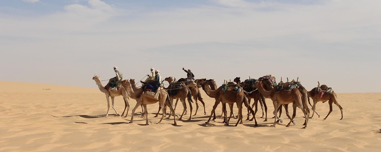Camel caravan crossing the Sahara Desert in Chad.