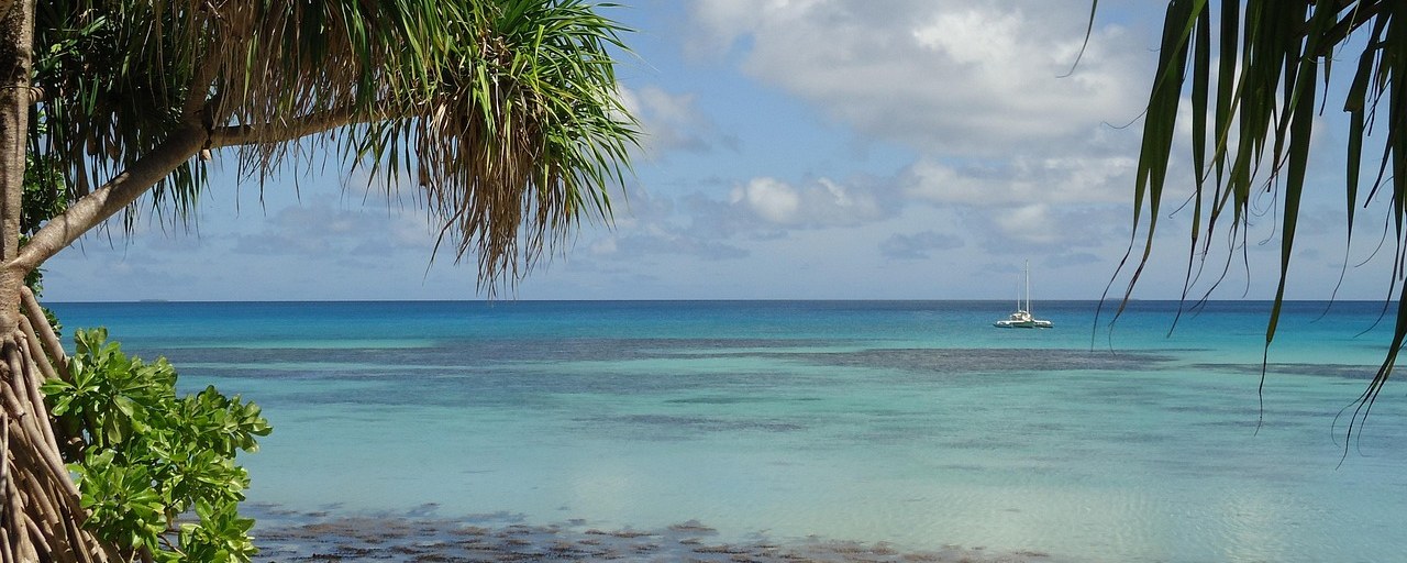 Palm-framed lagoon shore in Tuvalu