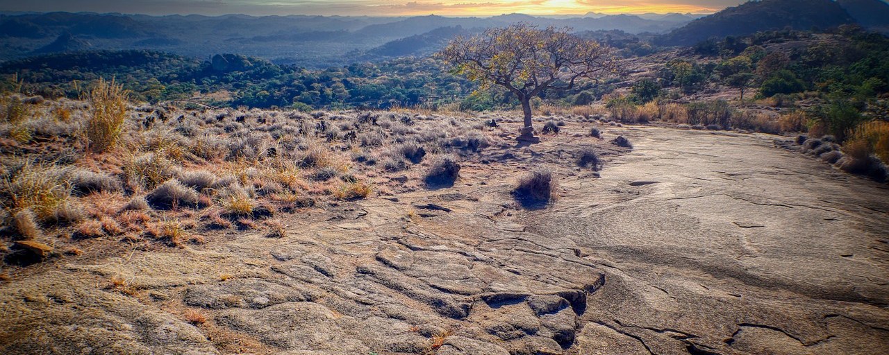 Granite landscape and a lone tree in the Matobo Hills, Zimbabwe